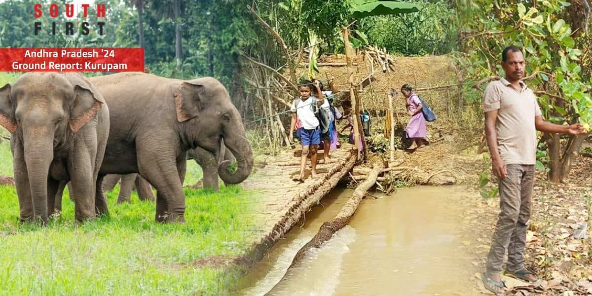 Wildlife menace, inadequate infrastructure, and exploitation of farmers by middlemen are some of the issues the voters in Kurupam ST Assembly constituency face. (South First)