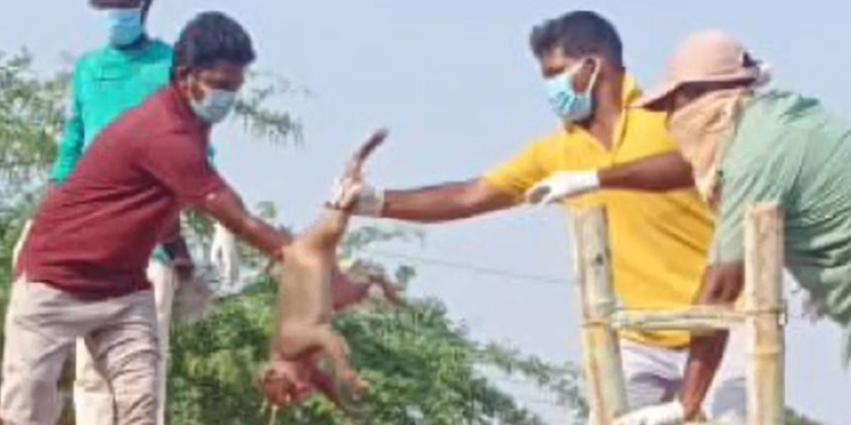 Screengrab from the video.