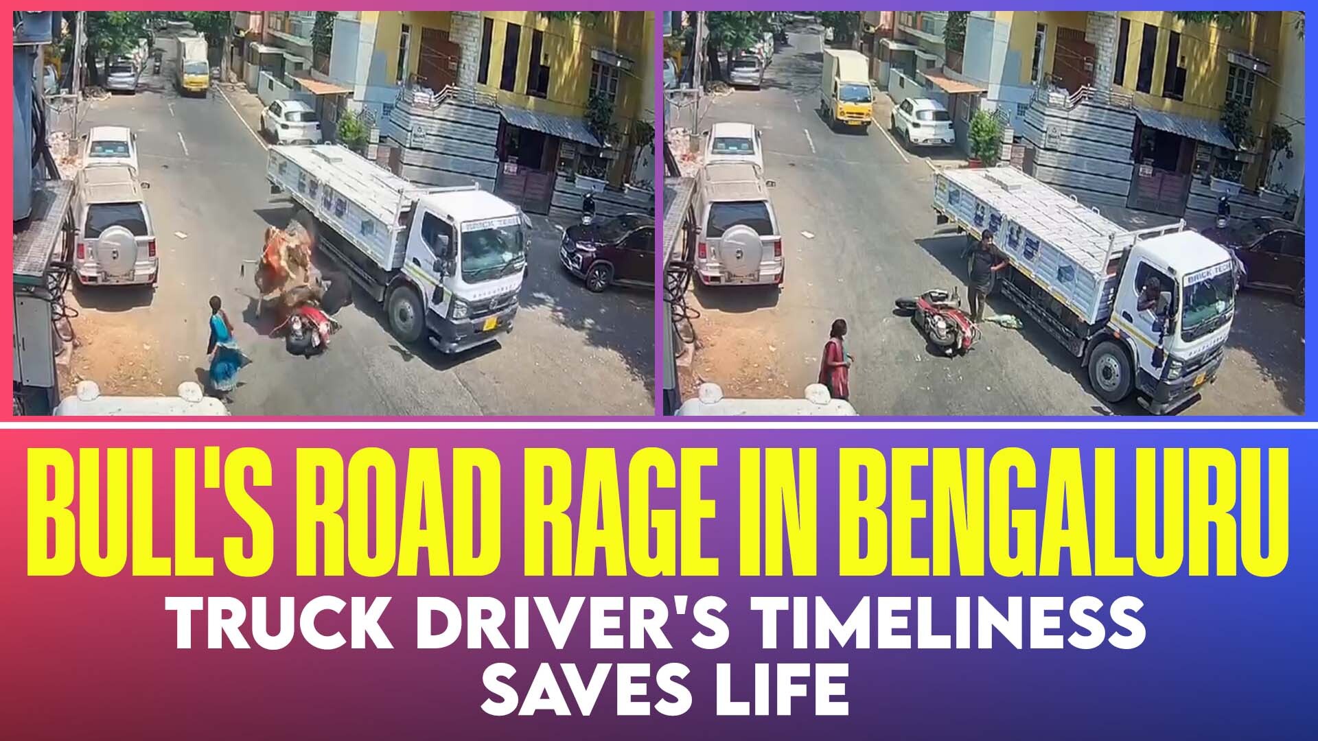 Bengaluru bull accident