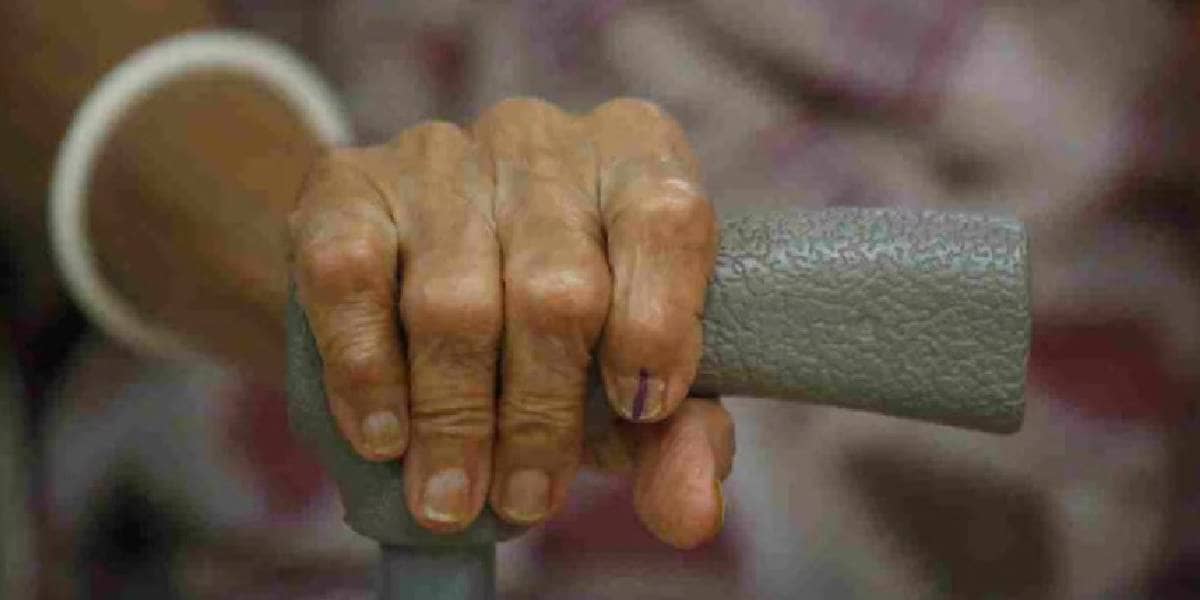 LS Polls 2024: Voter turnout