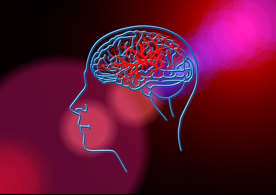 Naegleria fowleri infects people by entering the body through the nose, usually while swimming. The amoeba travels up the nose to the brain where it destroys the brain tissue and causes swelling of the brain. (Creative Commons)
