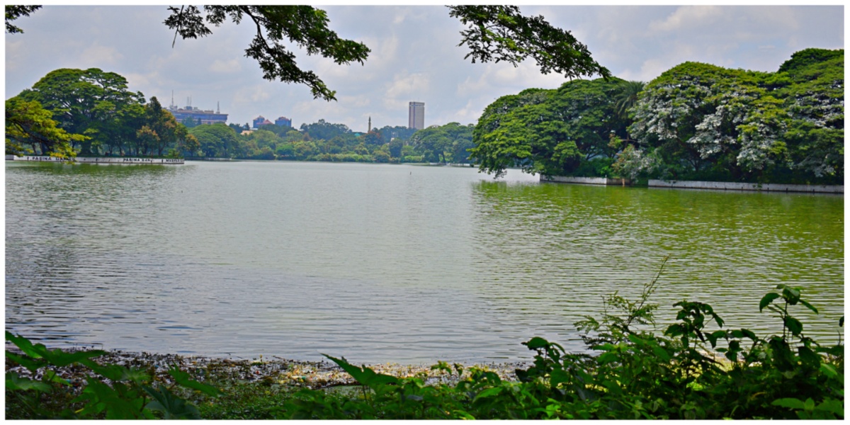 BBMP invites proposals from corporates, individual bodies for rejuvenation of 185 lakes