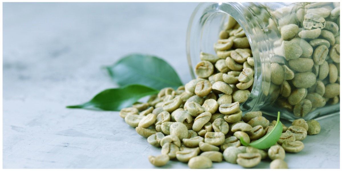 Kerala students develop health-friendly ‘green coffee’ powder, receive FSSAI certification