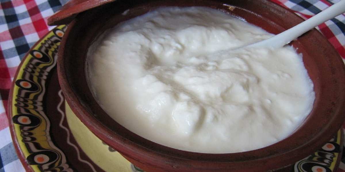 Curds at night causes excess mucus, cold, and indigestion?