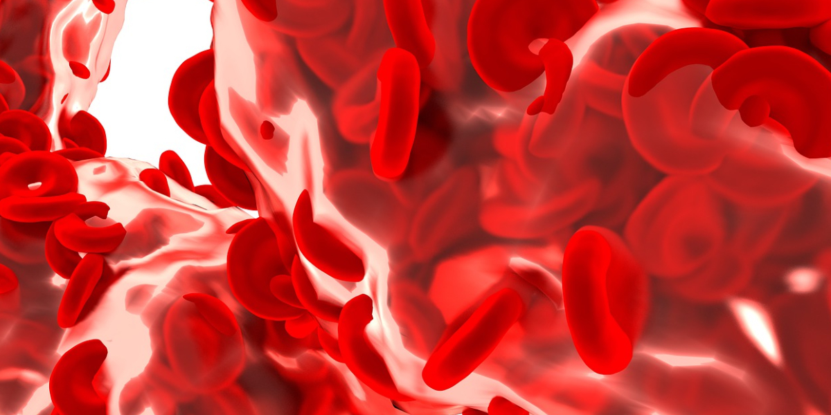 What is Haemoglobin D-Punjab found in Andhra Pradesh?