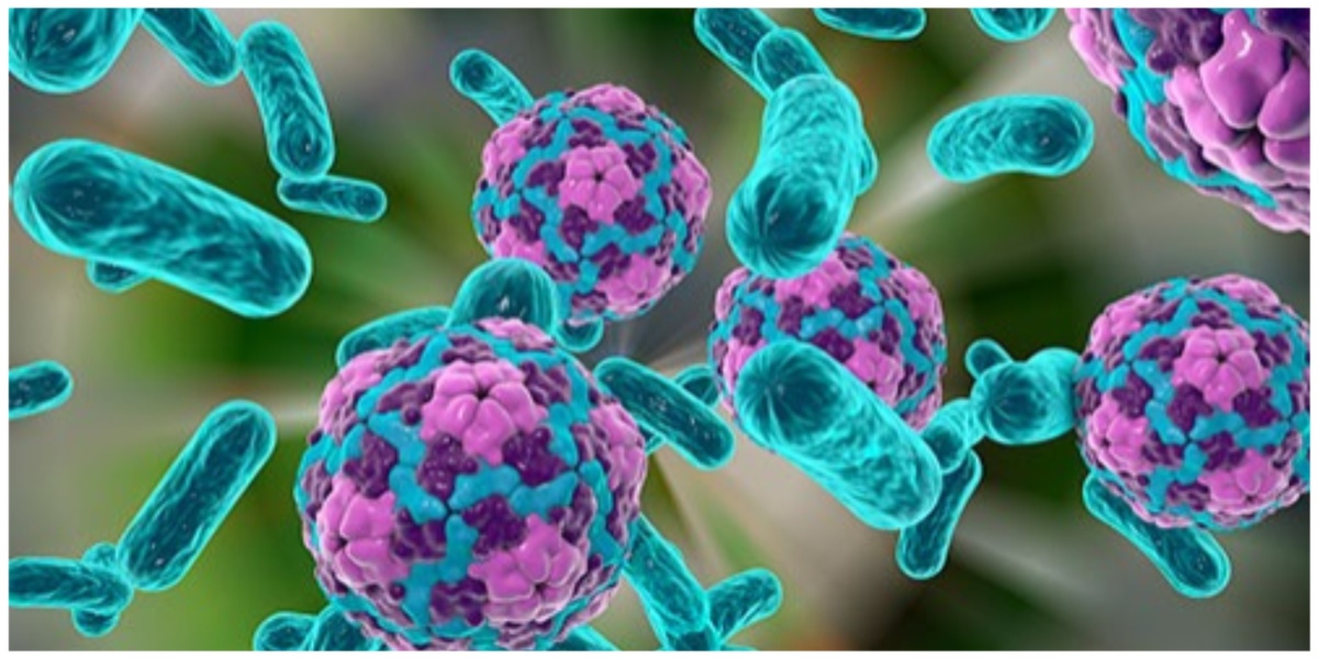 Kerala steps up fight against Hepatitis A, turns to ‘PLEX’