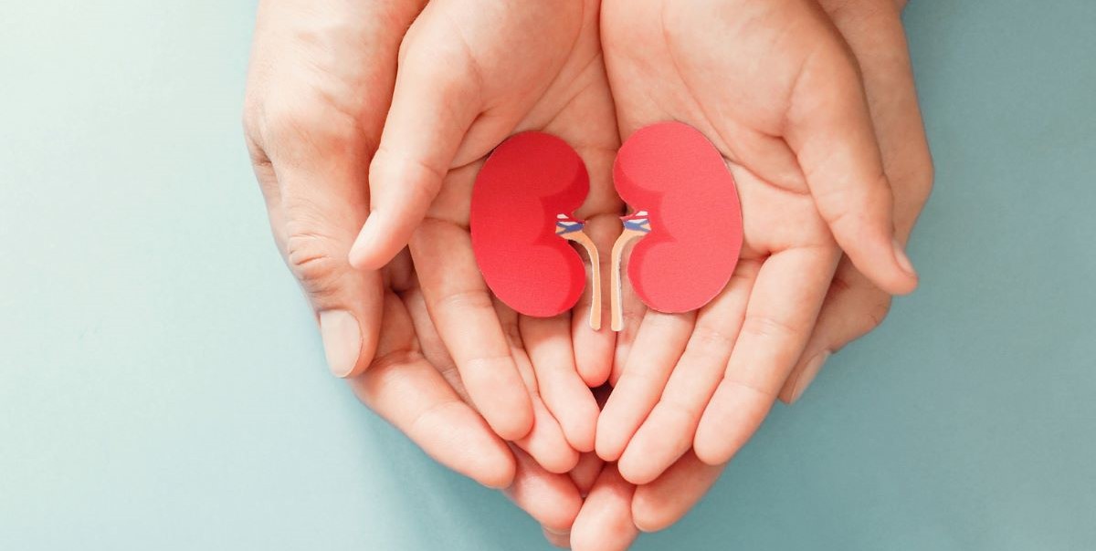 Organ donation