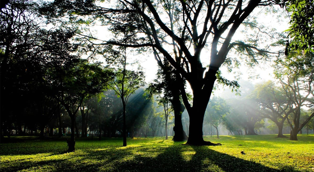 Cubbon Park in Bengaluru.