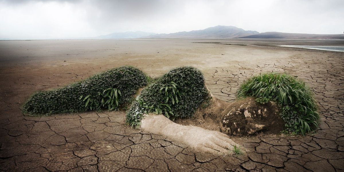 Climate change. Representational Image.
