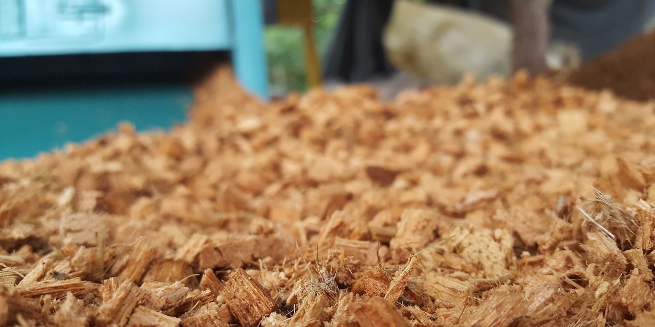 Coconut husk. (Creaive Commons)