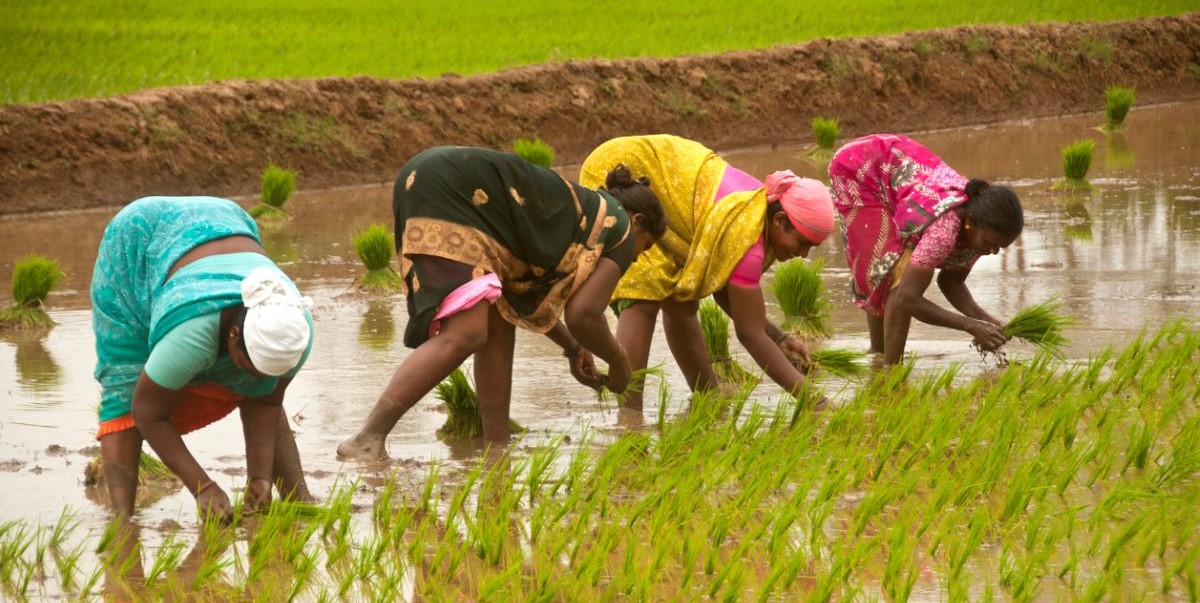 Telangana government on farmers crop loan waiver
