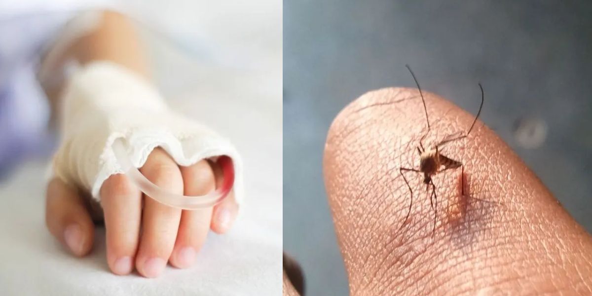 Dengue cases in Karnataka children