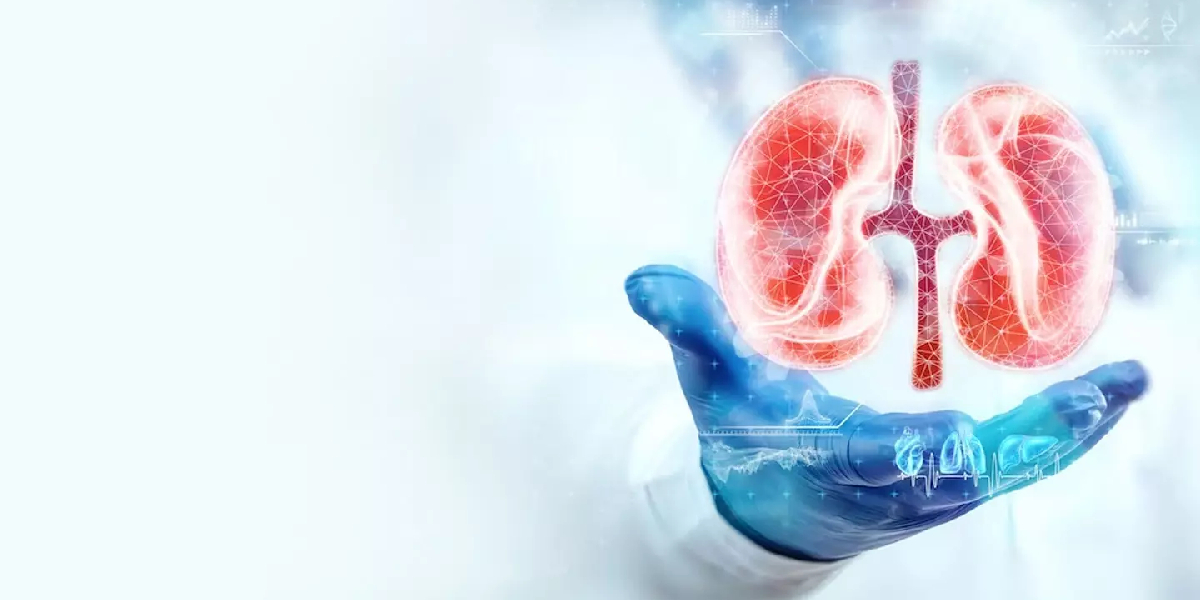 Andhra Kidney disease