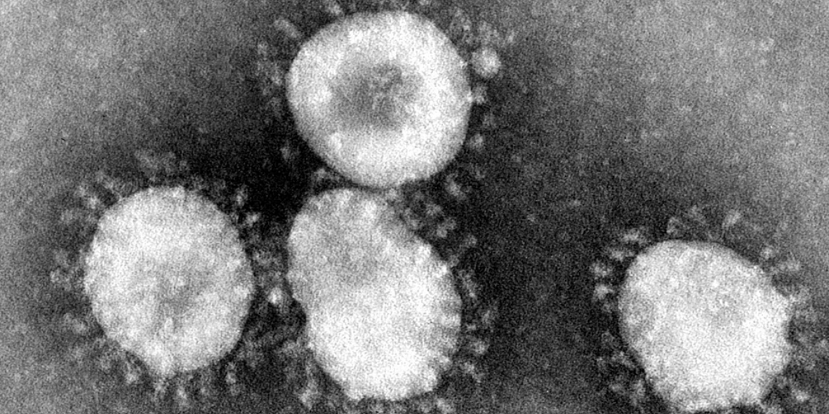 What is Chandipura virus that claimed 16 lives in Gujarat?