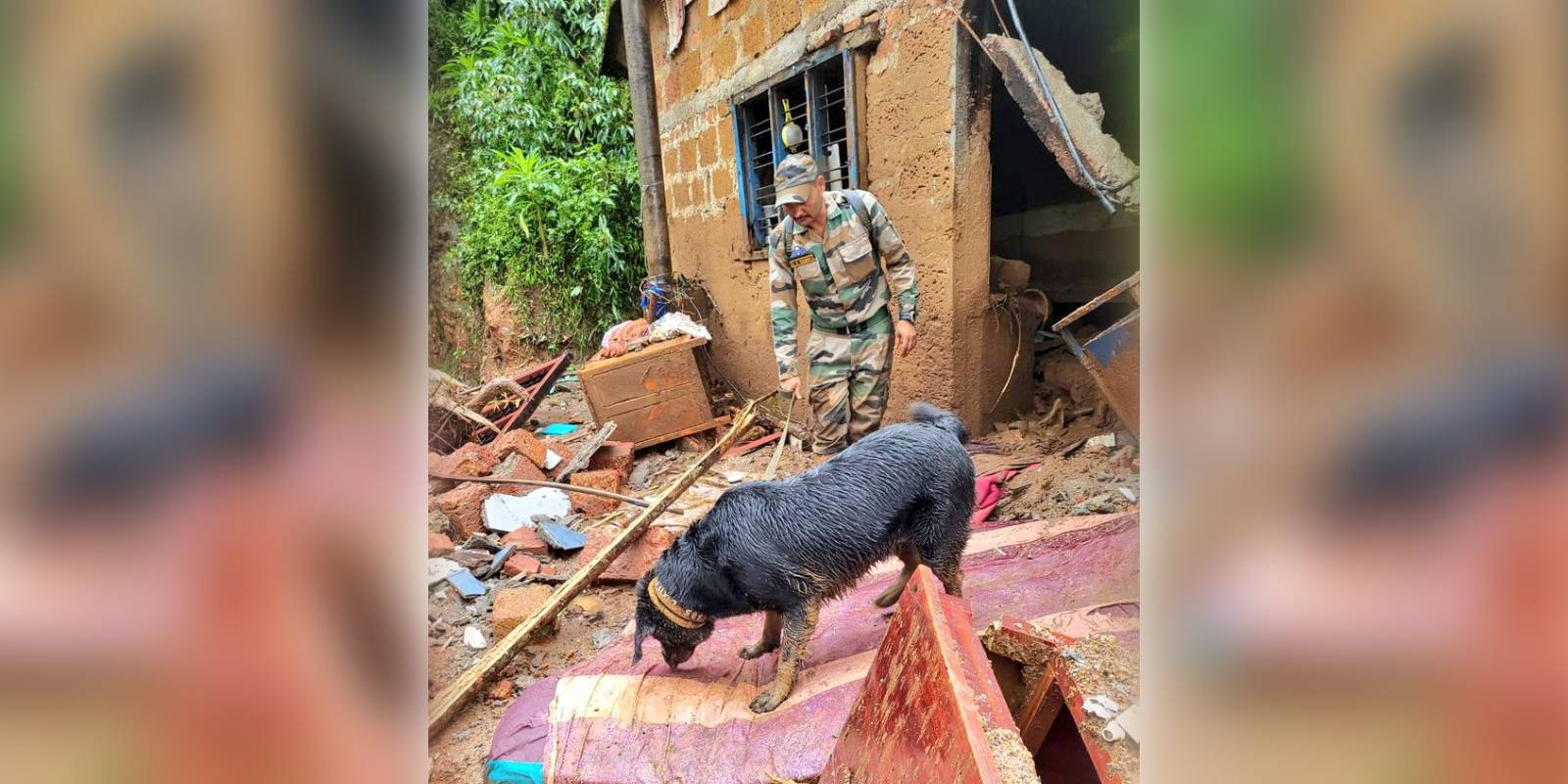 Army dogs in the rescue operation