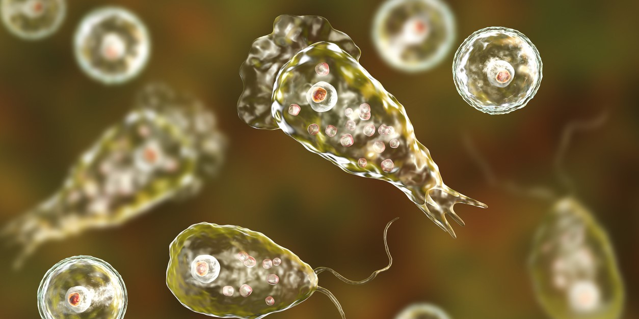 Kerala reports four more cases of amoebic meningoencephalitis