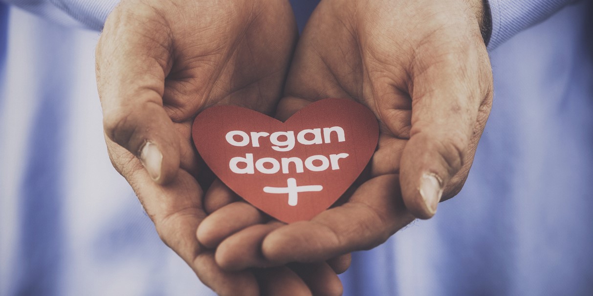 Organ donation from living and dead people
