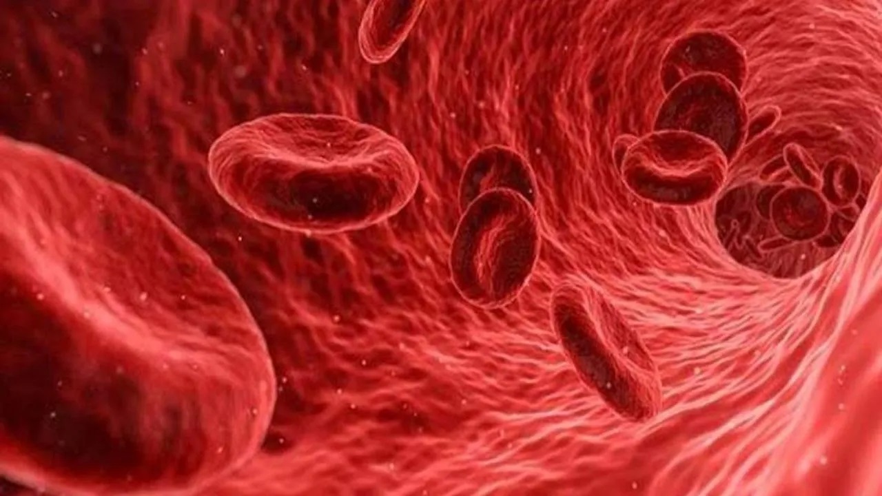The registry will create a comprehensive database of potential donors, ensuring quicker and more accurate matches for leukemia patients struggling to find suitable stem cell donors. (Creative Commons)