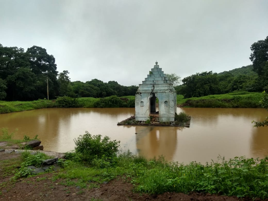 Damagundem Reserve Forest is home to several rare trees and is the lung of Hyderabad. (Adv Spandana Reddy/X)