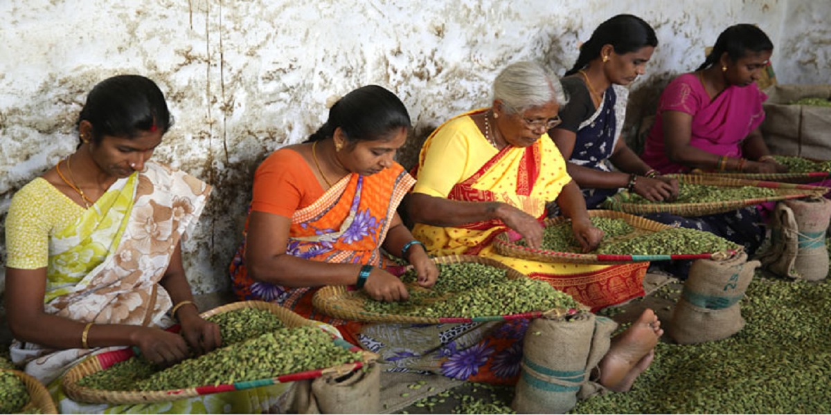 Over 61% of women in Keralam fall below wellbeing threshold, spend over 16 hours working, study finds