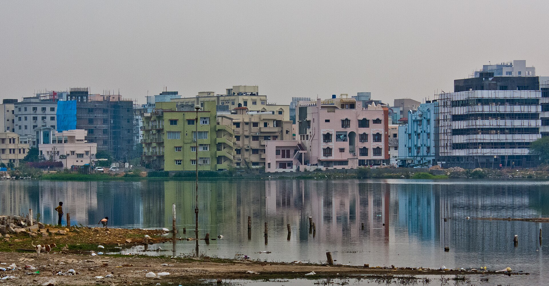 A report released by Deputy Chief Minister Mallu Bhatti Vikramarka said 491 out of 920 Hyderabad lakes and tanks have been encroached. Pictured, Durgam Cheruvu near Hitec City. (Nitin Jadon/Wikimedia Commons)