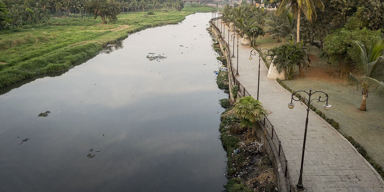 Musi river