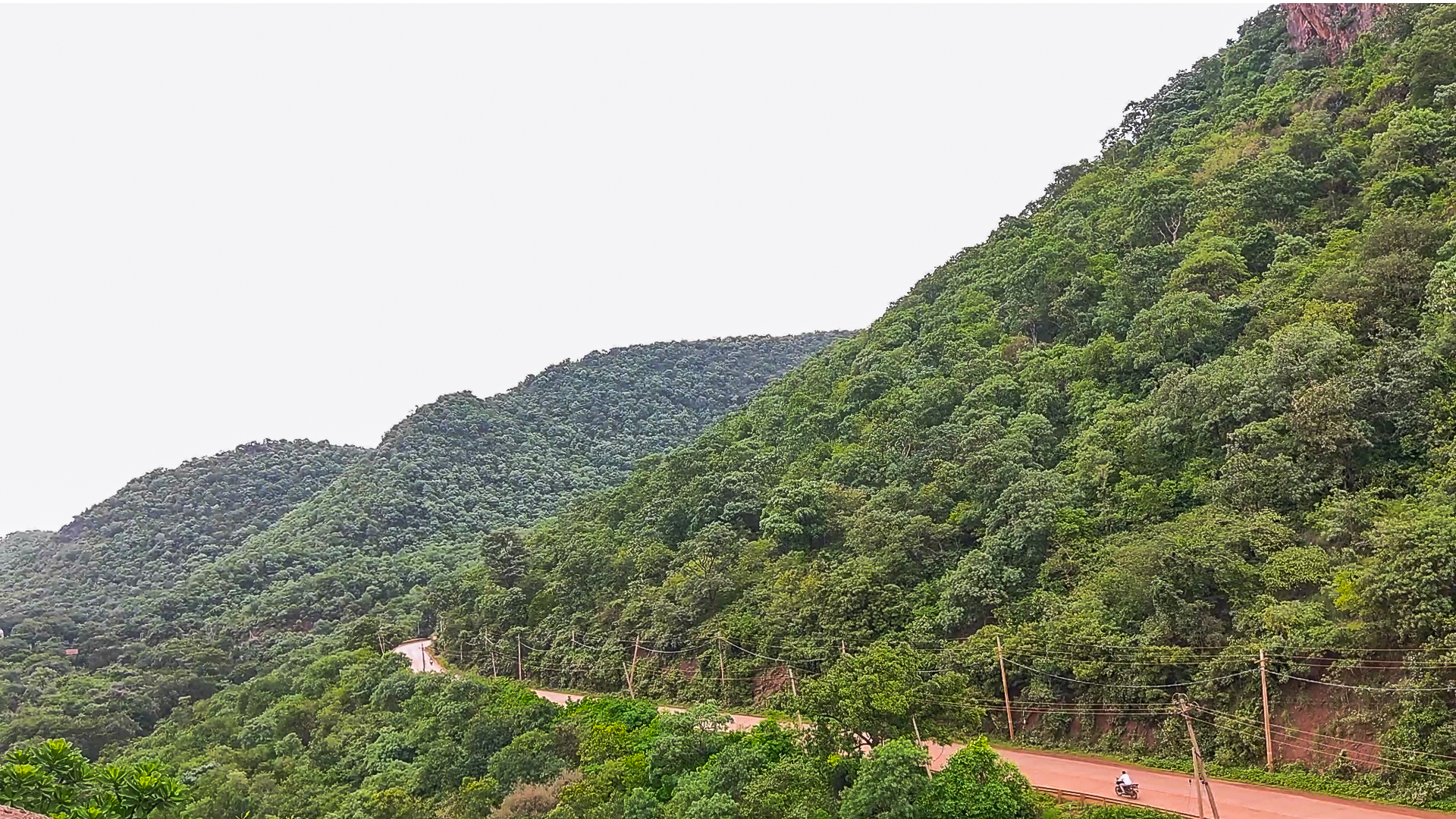 Sandur Forest