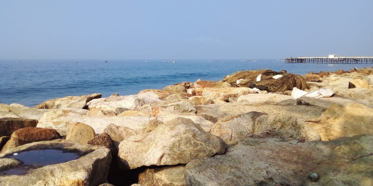 Fisherwomen's Assembly in Thiruvananthapuram: A historic call for sea conservation and community unity