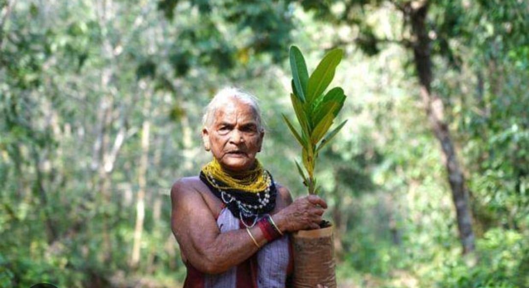Environmentalist Tulsi Gowda Padma Shri Awardee Uttara Kannada Ankola