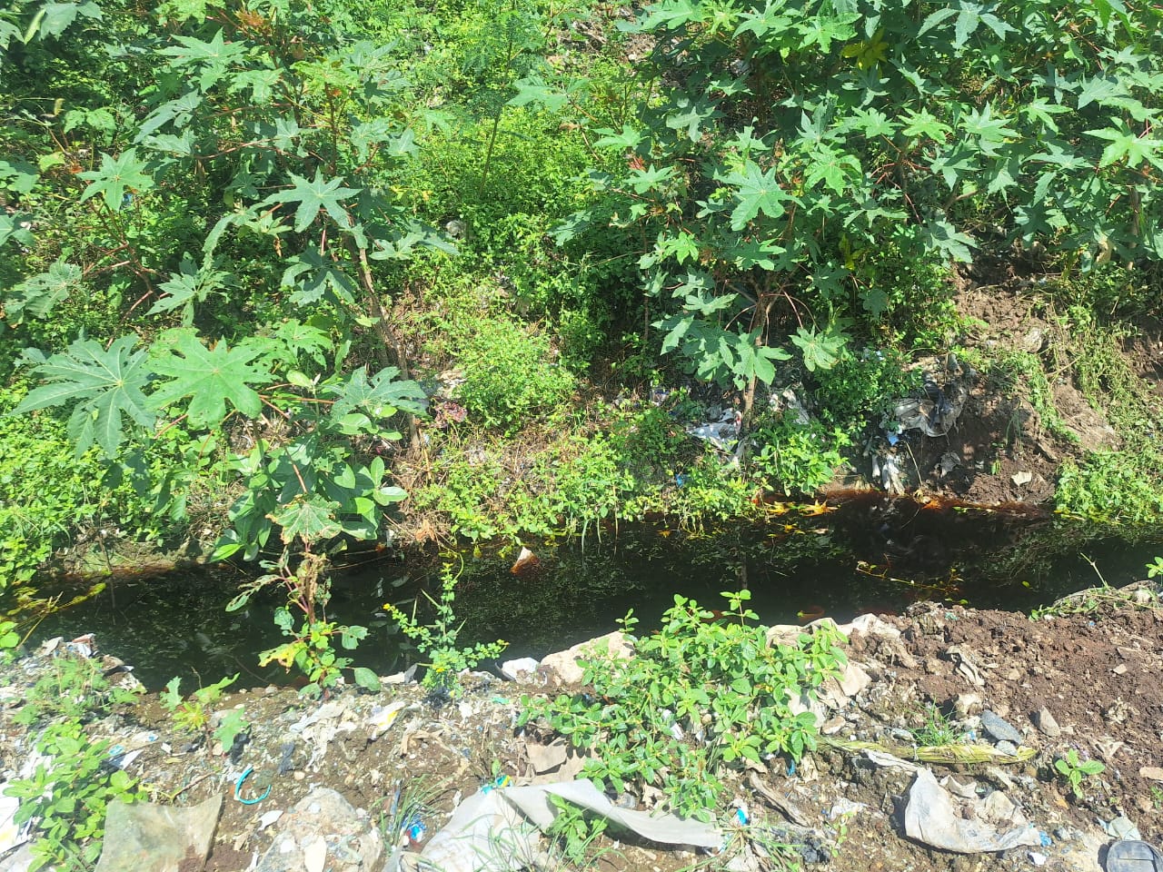 A putrid stream in Perungudi landfill.