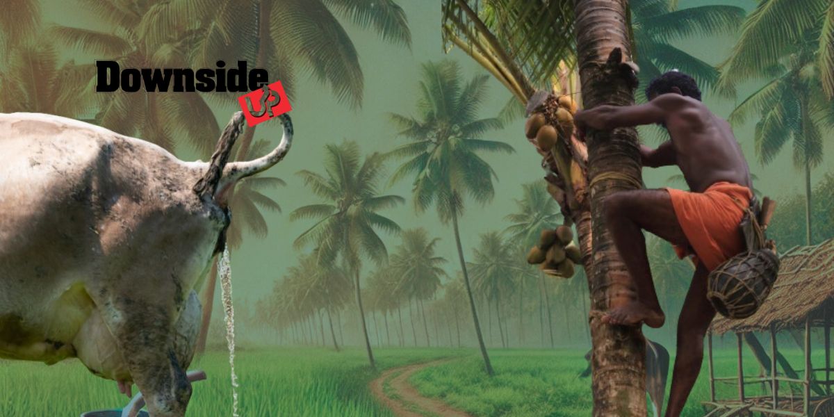 Cow urine vs Toddy Tamil Nadu stirs a healthy debate on unhealthy politics.