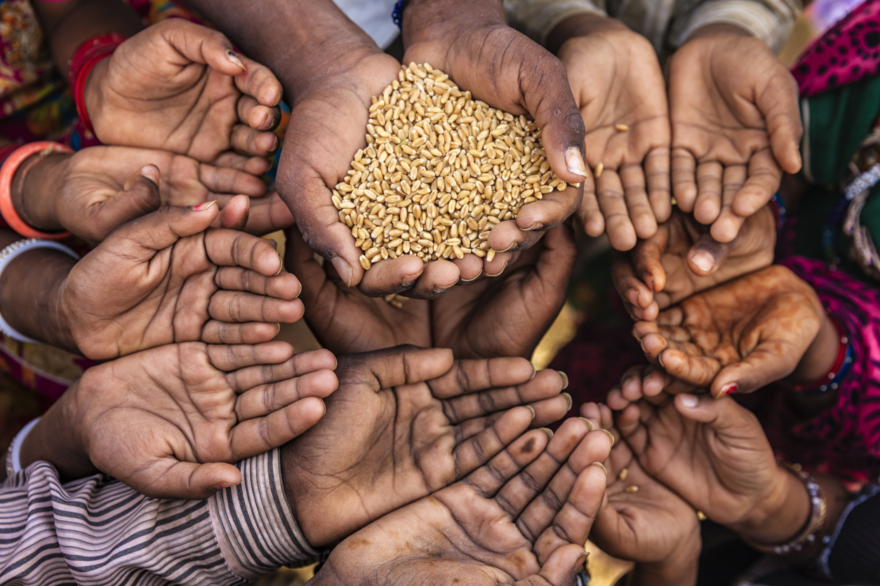 Why does this Kerala tribal taluk see an office as key to food security?