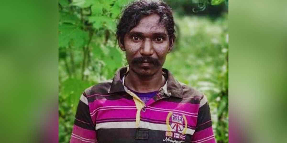 Elephant attack Kerala