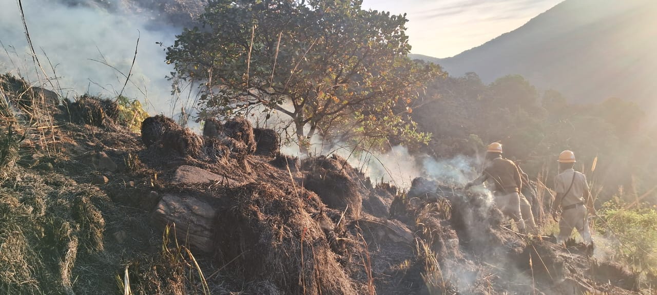 Massive wildfire ravages Charmadi Ghat, hundreds of acres of forest destroyed