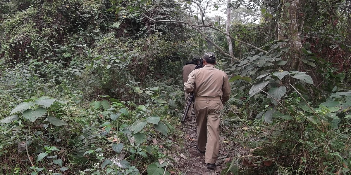In the line of fire: The deadly price of protecting Kerala’s forests