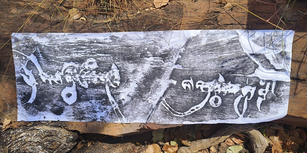 Ancient inscriptions found in Kadapa's Lankkamala Reserve Forest