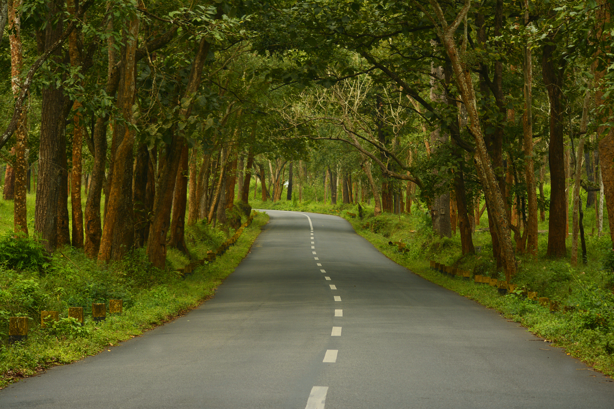 The road passes through the core of the Tiger Reserve. (iStock)