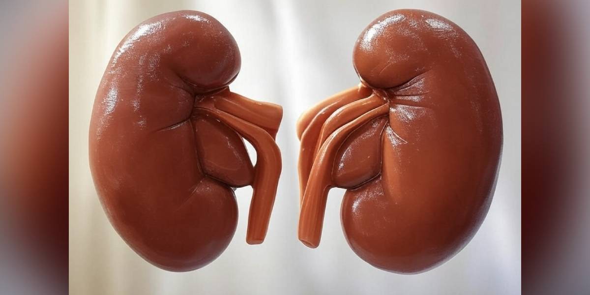 Chronic Kidney Disease