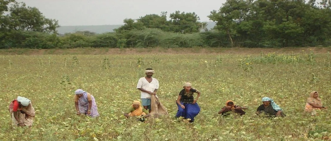 Telangana farmers