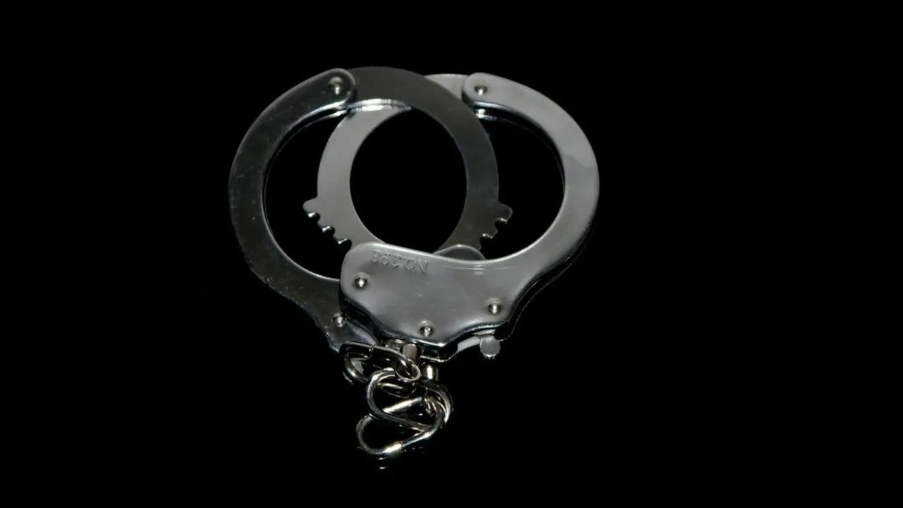 Arrest Representational image. Credit: iStock