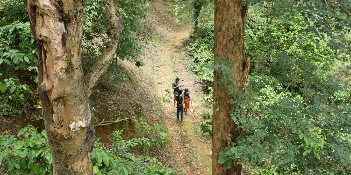 Elderly Panniya woman healer taking the researchers on a transect walk