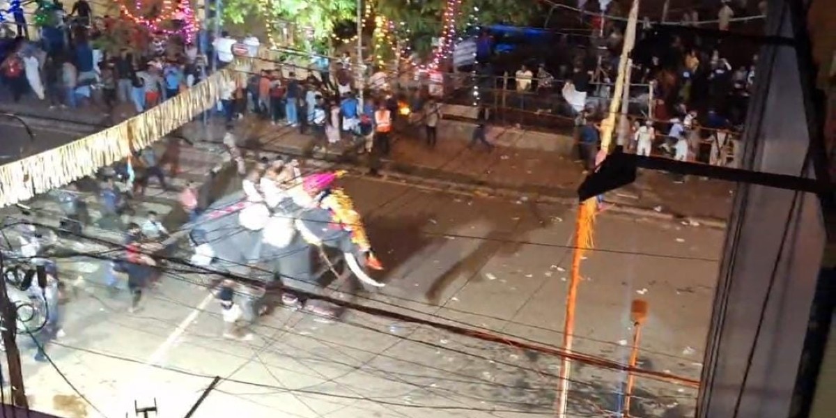 Elephant runs amok at Thrissur Pooram procession