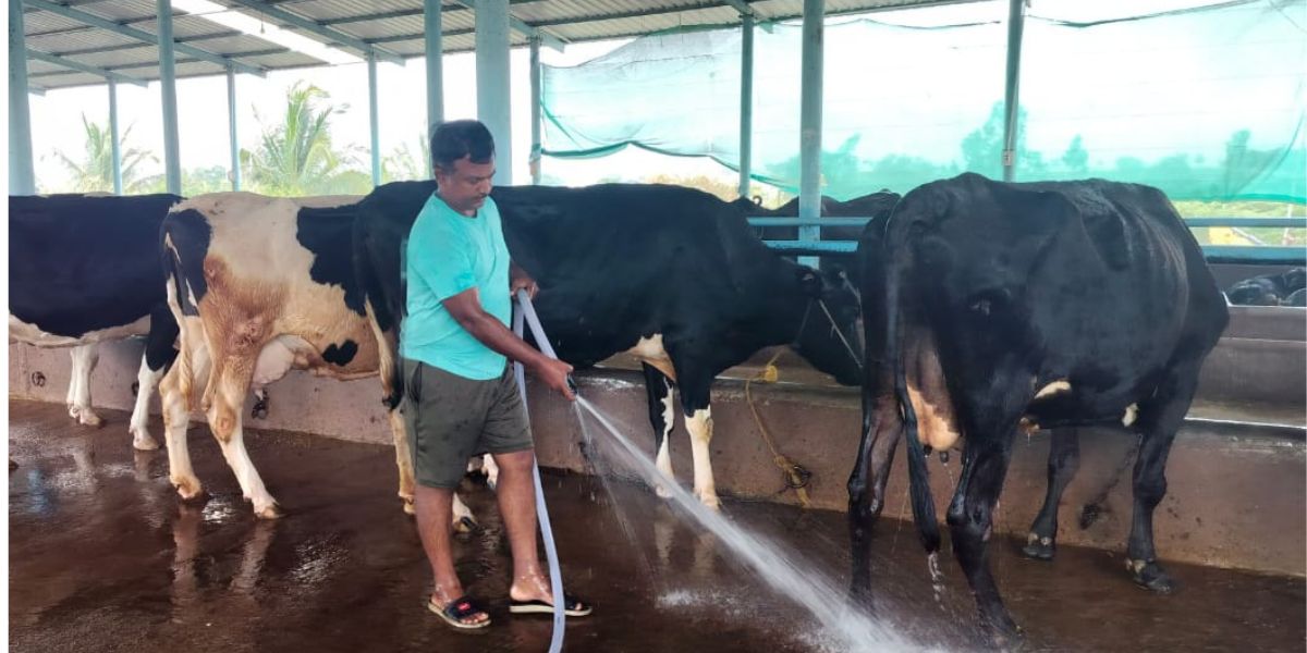Milk price
