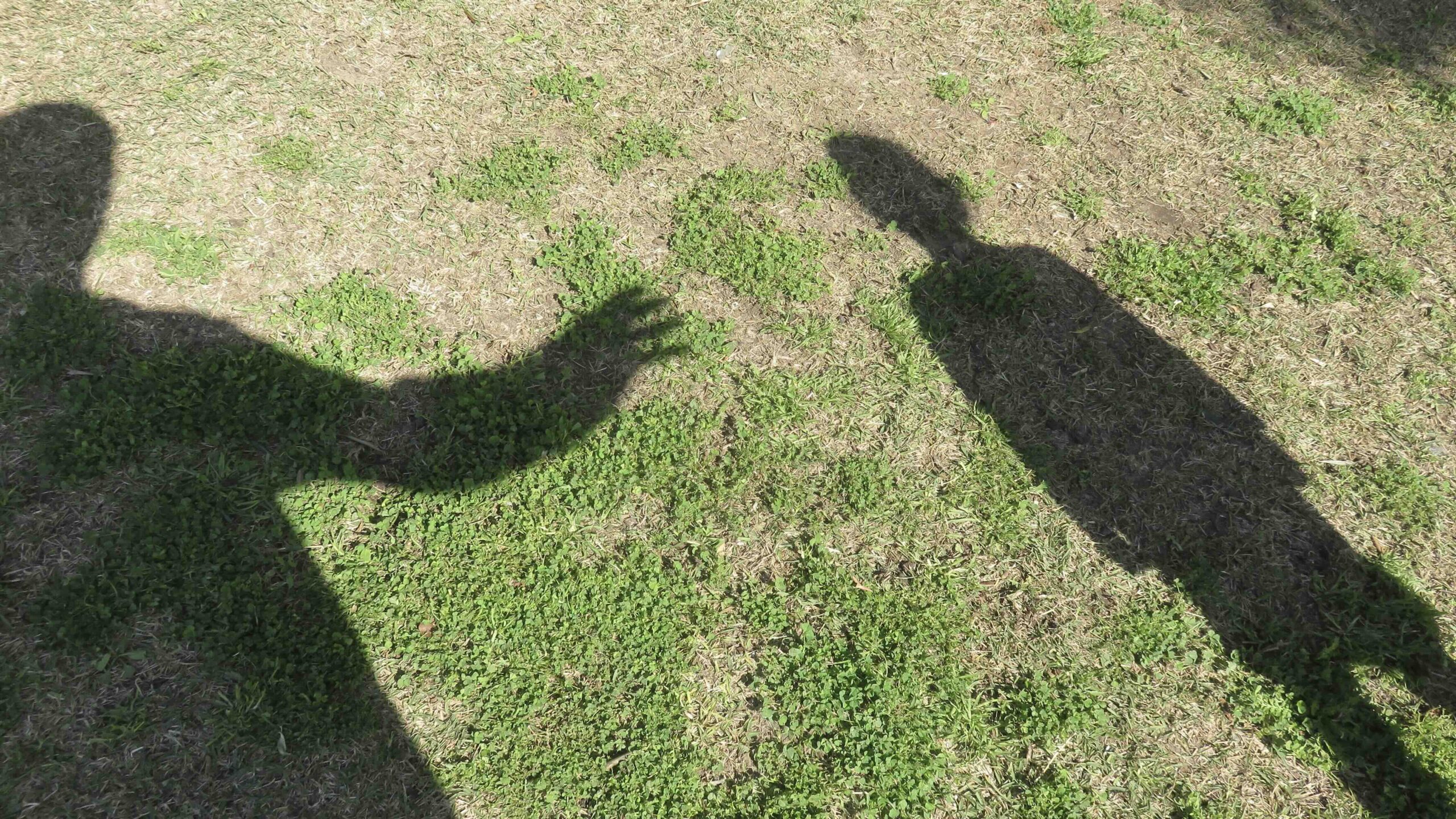 Five-year-old boy killed in Tamil Nadu after sexual harassment attempt, Assam youth arrested
