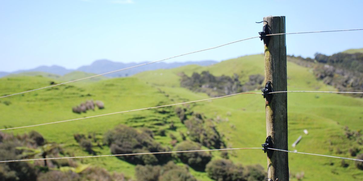 Electric fence