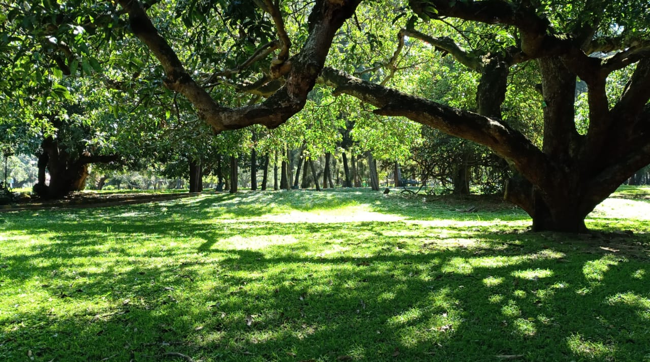 Explainer: Karnataka passes bill to use up to 5 percent of park land for public projects – what does it mean?