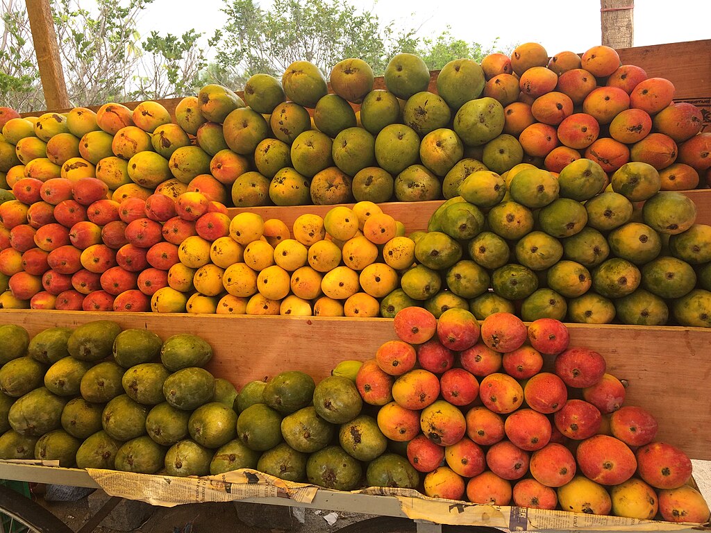 Different varieties of mangoes.
