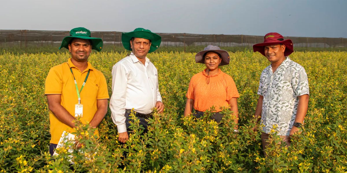 The new variety has already shown promising results in actual farming conditions. (Supplied)