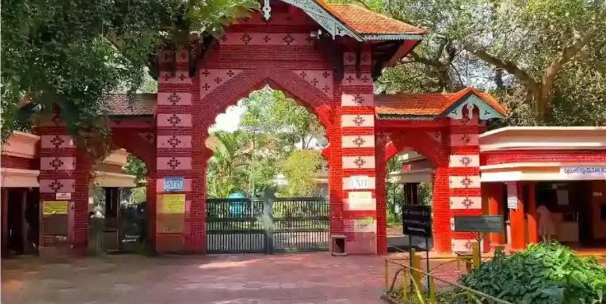 Tiger mauls Zoo employee in Thiruvananthapuram; victim suffers head injuries