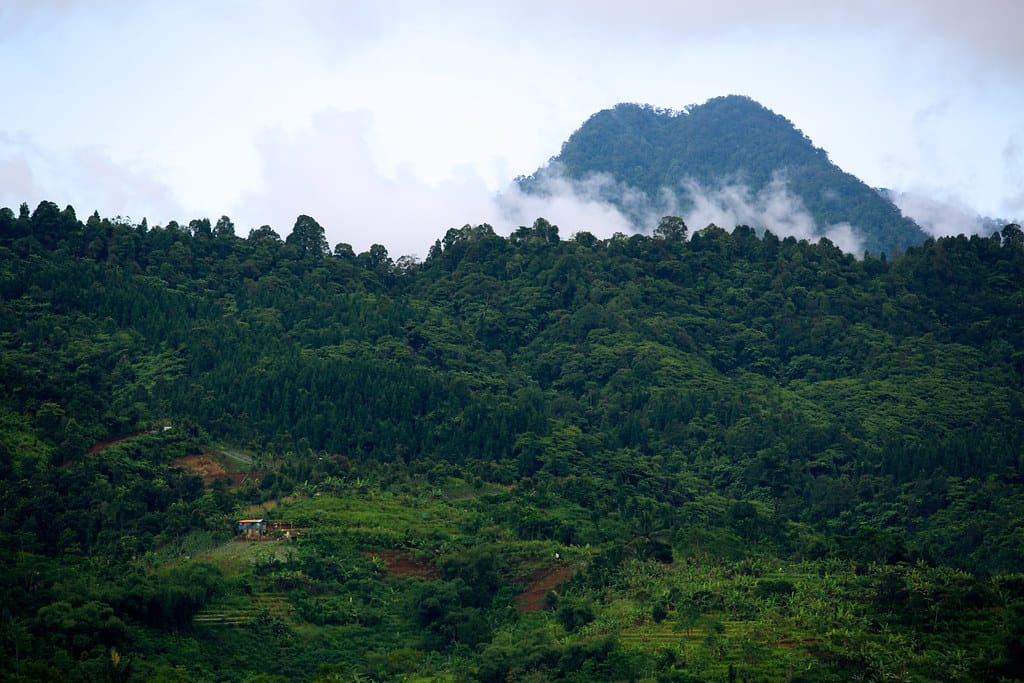 A geographically diverse state, stretching nearly 600 km from north to south and 30–60 km from east to west, faces mounting challenges from rising human-wildlife conflicts. (Kerala Forests)